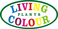 Living Colour Plants